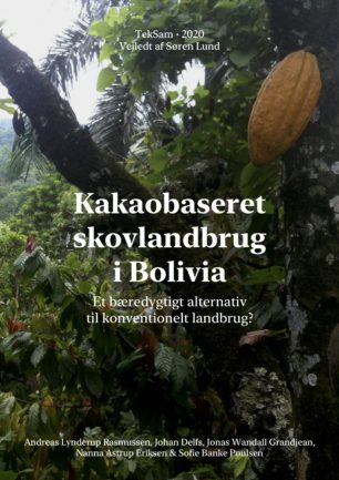 Kakaobaseret skovlandbrug i Bolivia