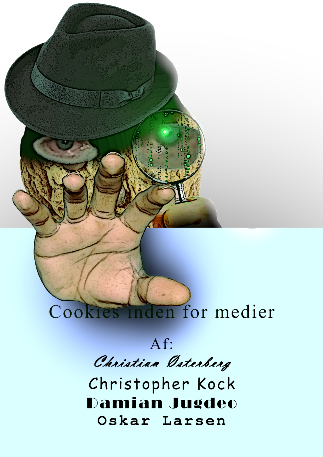 Cookies i medier